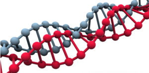 Forskere: DNA-opdagelse er et skridt på vejen mod ny kræftmedicin