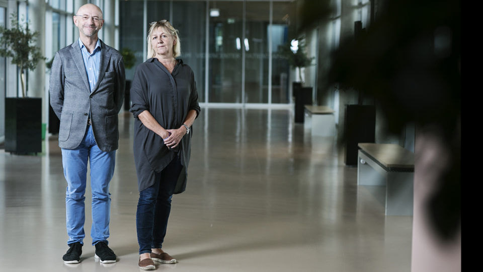 Regionerne er desperate: Mangler 80-90 psykiatere