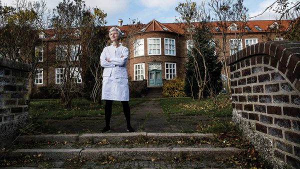 Bispebjergs fredede haver skal gøres helende igen
