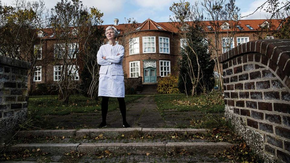 Bispebjergs fredede haver skal gøres helende igen