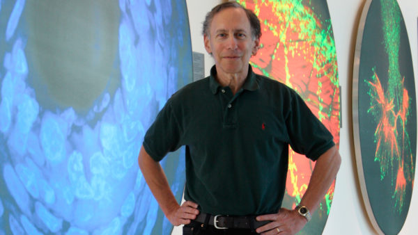 Professor Robert Langer: Sådan bliver danske forskere mere succesfulde