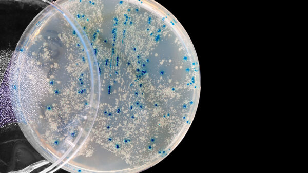 Mikrobiologi, Genre